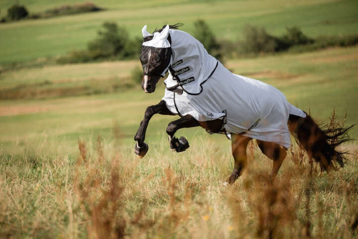 Covalliero Fliegendecke RugBe SuperFly